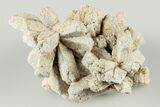 Radiating, Sand Celestine (Celestite) Crystals - Kazakhstan #193430-1